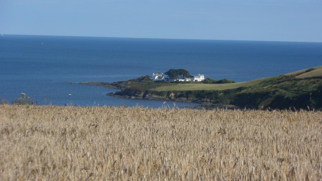 Wild Air Guest House Mevagissey Dış mekan fotoğraf